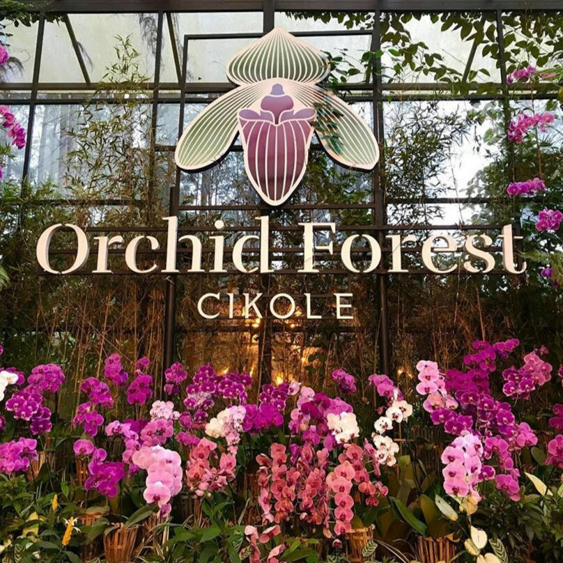 Orchid Forest